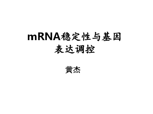 mRNA稳定性与基因表达教程文件