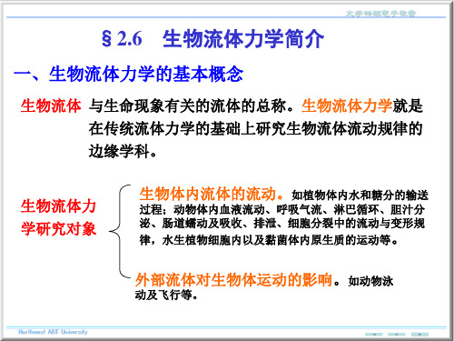 大学物理生物流体力学简介