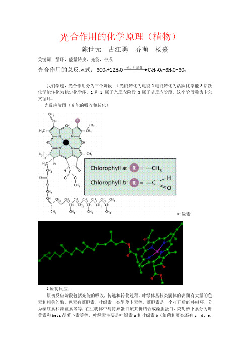 光 合作用的化学原理(植物)