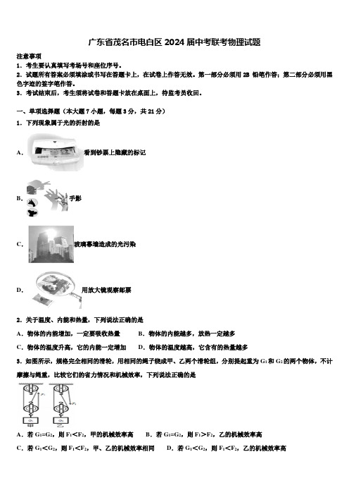 广东省茂名市电白区2024届中考联考物理试题含解析