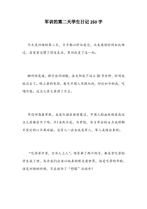 军训的第二天学生日记250字