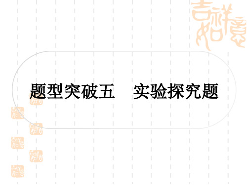 中考化学人教版 精练篇 第二部分 题型突破练五 实验探究题