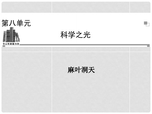 高中语文 第八单元 麻叶洞天课件 新人教版选修《中国文化经典研读》 