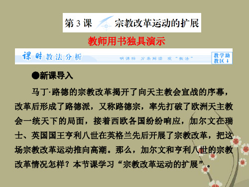 (教师用书)高中历史 第五单元 第3课 宗教改革运动的扩展同步备课课件 新人教版选修1