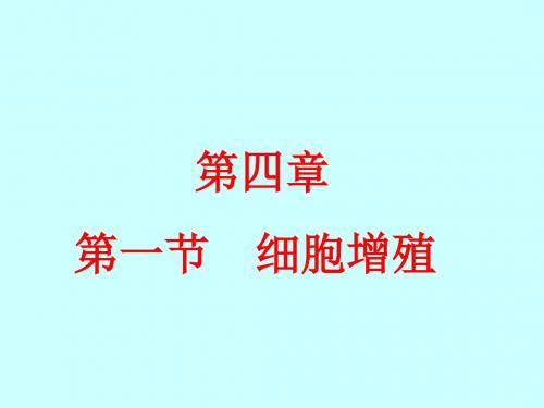 【高中生物】细胞增殖ppt3