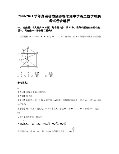 2020-2021学年湖南省娄底市杨木洲中学高二数学理联考试卷含解析