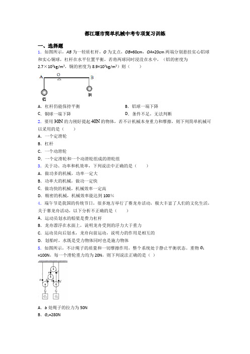 都江堰市简单机械中考专项复习训练