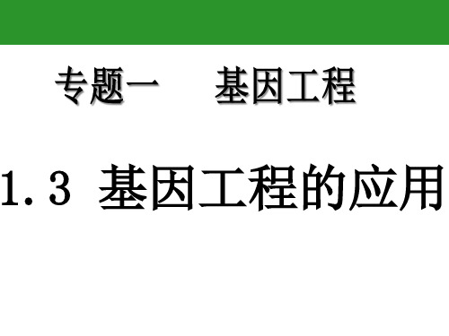 2020-2021学年高二生物选修三课件(新)：1.3 基因工程的应用