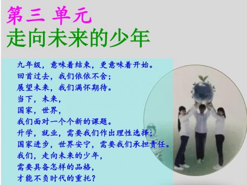 人教版九年级道德与法治下册 5.1   走向世界大舞台(共39张PPT)