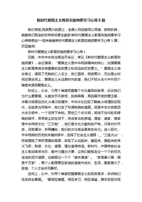 新时代爱国主义教育实施纲要学习心得5篇