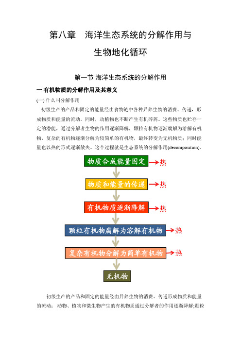 海洋生态学讲稿第8章