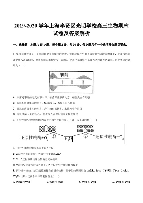 2019-2020学年上海奉贤区光明学校高三生物期末试卷及答案解析