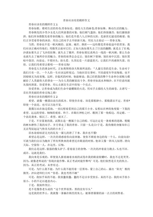 青春应该有的模样作文