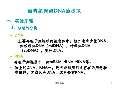 实验二细菌基因组DNA的提取