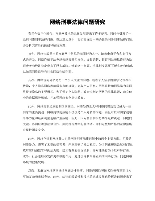 网络刑事法律问题研究