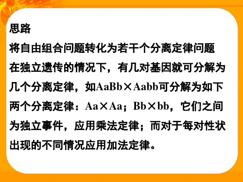 基因的自由组合定律(特殊的组合)