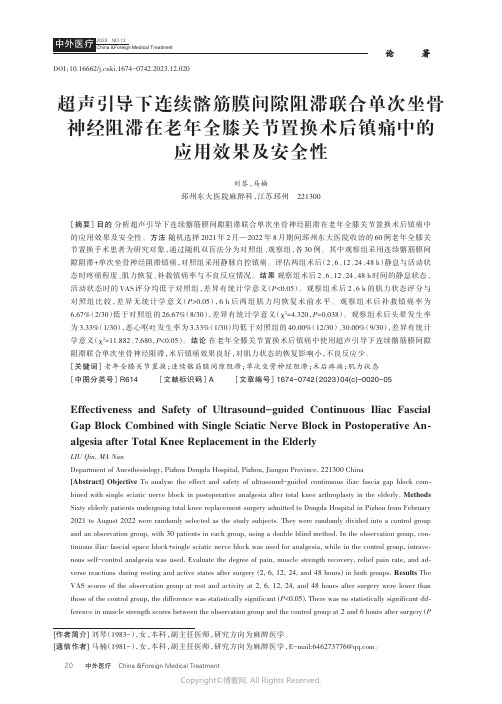 超声引导下连续髂筋膜间隙阻滞联合单次坐骨神经阻滞在老年全膝关节置换术后镇痛中的应用效果及安全性