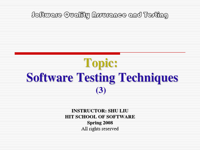 软件质量与测试Testing Techniques (3)