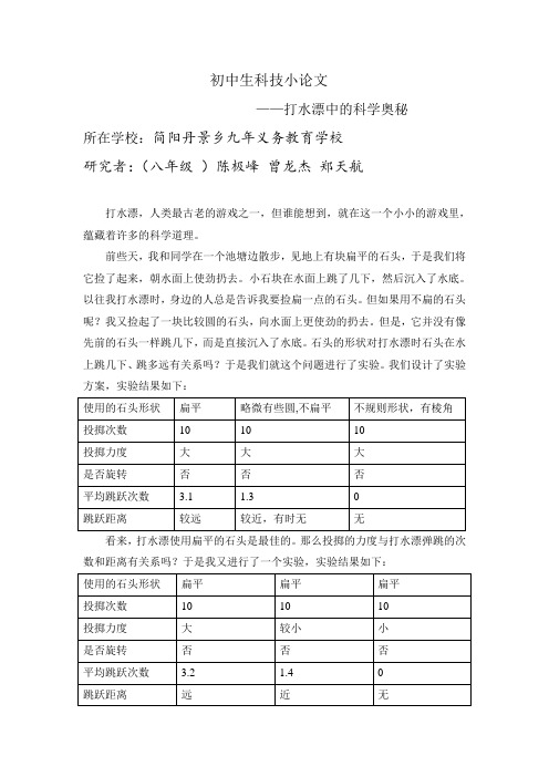 打水漂中的科学奥秘_初中生论文