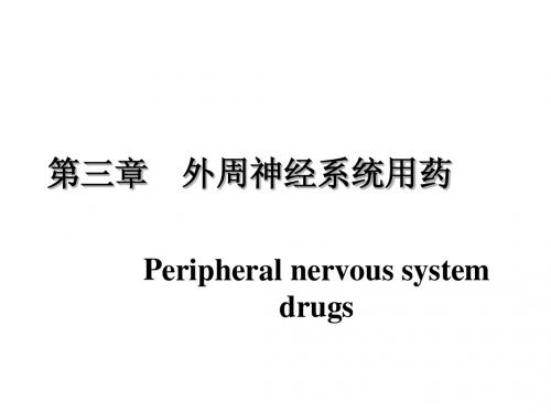 03-2抗胆碱药