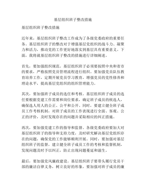 基层组织班子整改措施