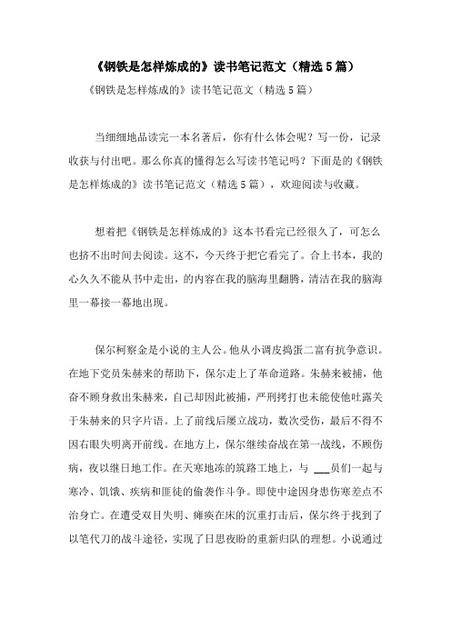 《钢铁是怎样炼成的》读书笔记范文(精选5篇)