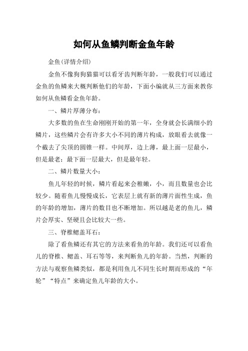 如何从鱼鳞判断金鱼年龄