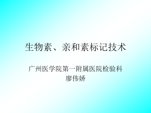 生物素、亲和素标记技术