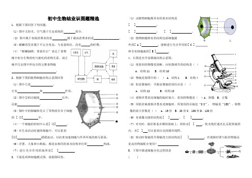 人教版初中生物识图专题(整理版)