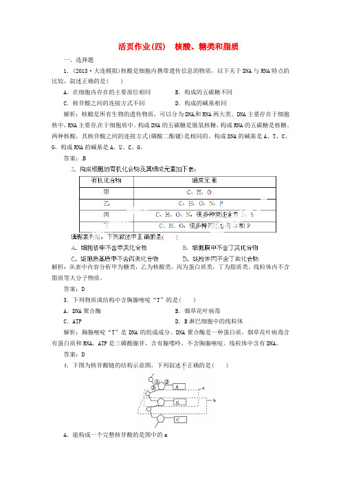 高考生物总复习 第四讲 核酸、糖类和脂质课时演练 新人教版
