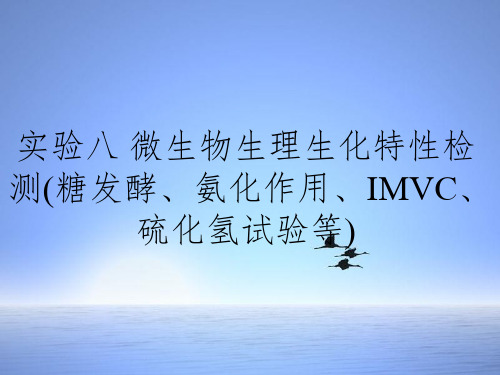 实验八 微生物生理生化特性检测(糖发酵、氨化作用、IMVC、硫化氢试验等)