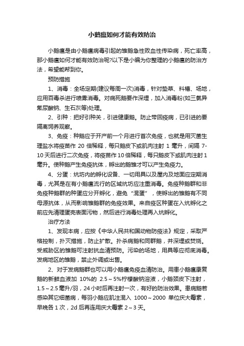 小鹅瘟如何才能有效防治