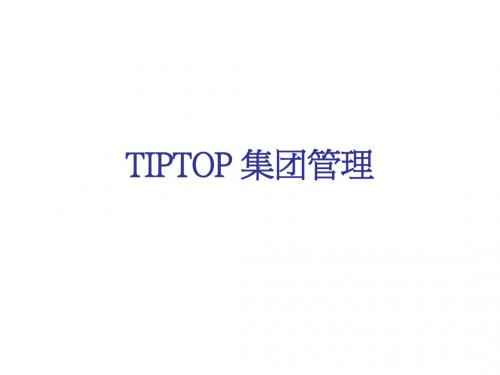 SAP-SAP资料 TIPTOP 集团管理