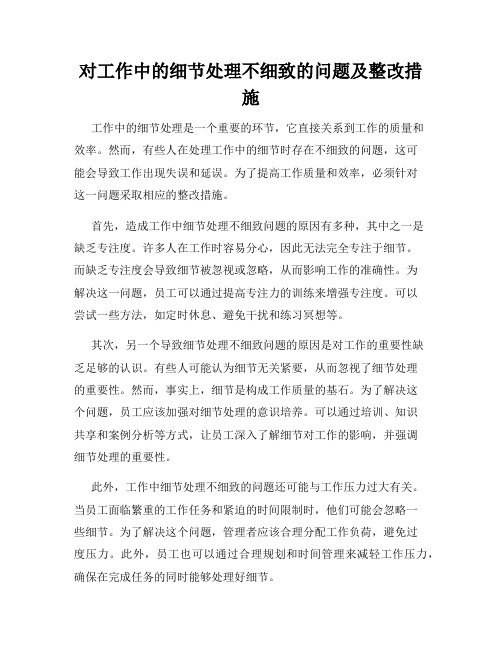 对工作中的细节处理不细致的问题及整改措施