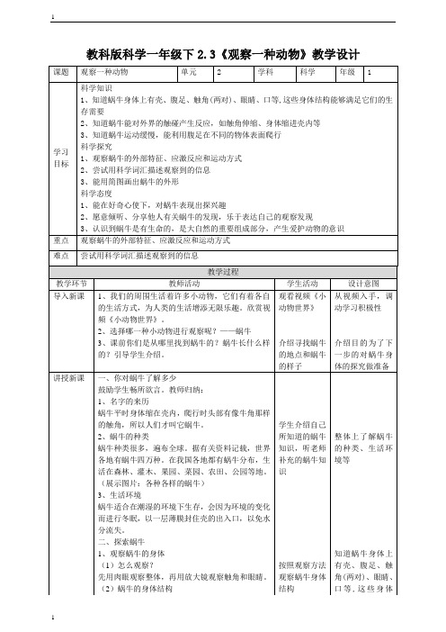 教科版小学科学一年级下册科学2.3《观察一种动物》教案