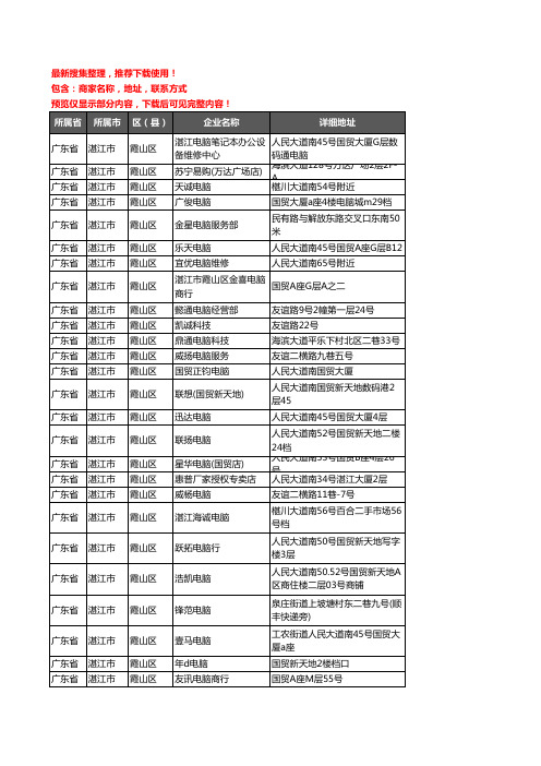 新版广东省湛江市霞山区电脑企业公司商家户名录单联系方式地址大全83家