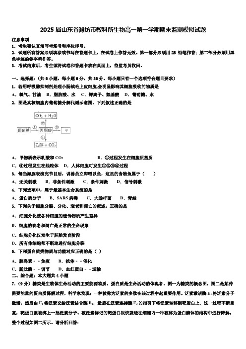 2025届山东省潍坊市教科所生物高一第一学期期末监测模拟试题含解析