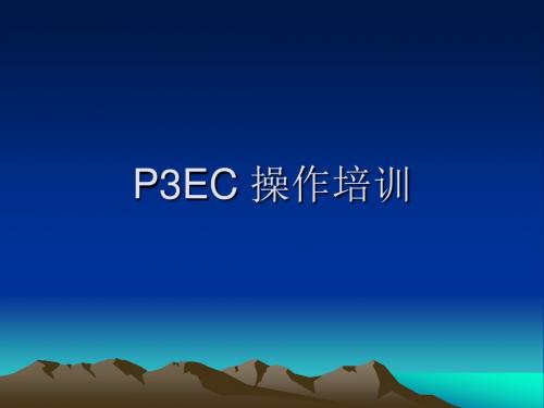 P3E操作步骤(精)