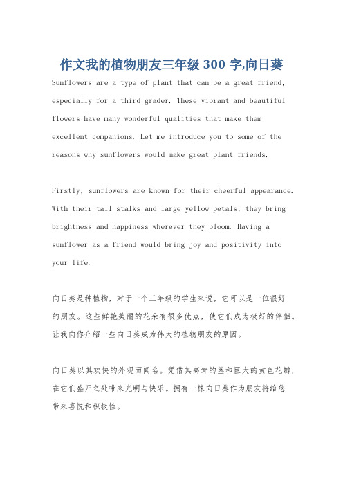 作文我的植物朋友三年级300字,向日葵