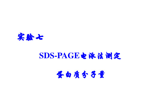 生物化学实验-SDS-PAGE电泳法测定蛋白质分子量