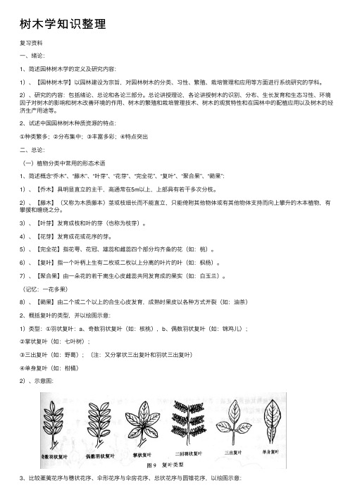 树木学知识整理