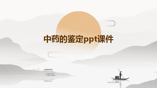 中药的鉴定ppt课件