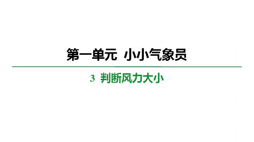 1.3 判断风力大小 学案课件 大象版科学三年级上册