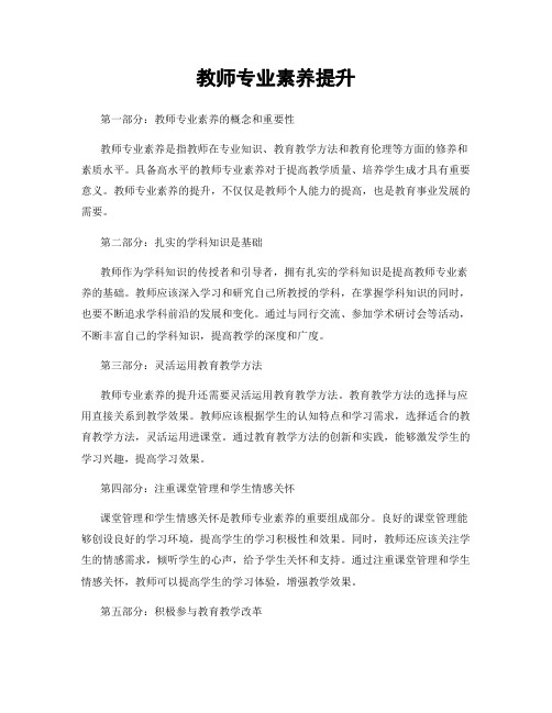 教师专业素养提升