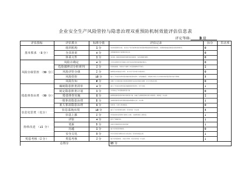 企业安全生产风险管控与隐患治理双重预防机制效能评估信息表