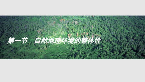 自然地理环境的整体性1PPT课件