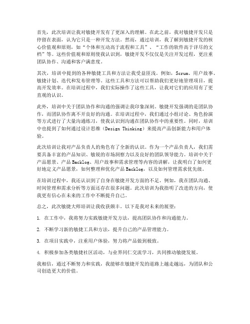 敏捷大师培训后感想