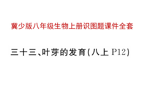 冀少版八年级生物上册下册识图题课件全套