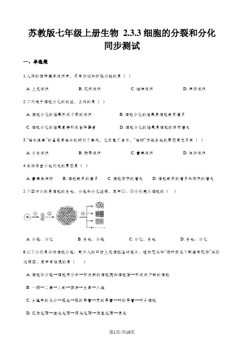 苏教版七年级上册生物 2.3.3细胞的分裂和分化 同步测试(含解析)