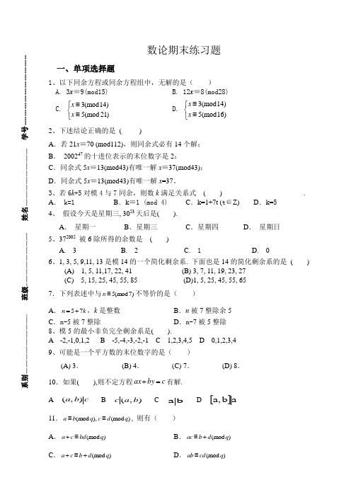 数论期末练习题